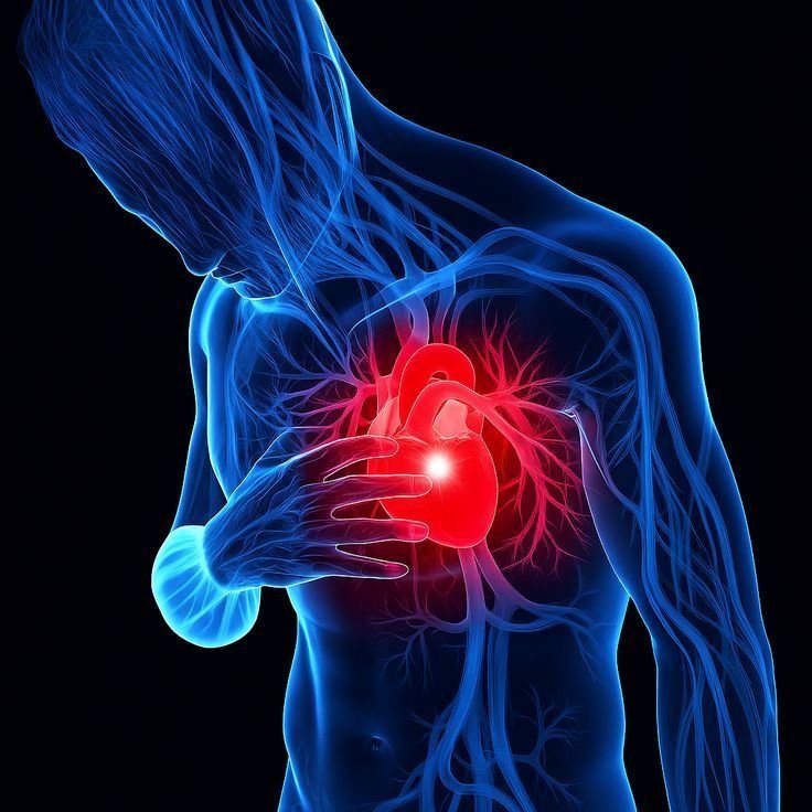 हार्ट अटैक के चेतावनी संकेत: 1 महीने पहले ही पहचानें (Heart Attack Warning Signs 1 Month Before)
