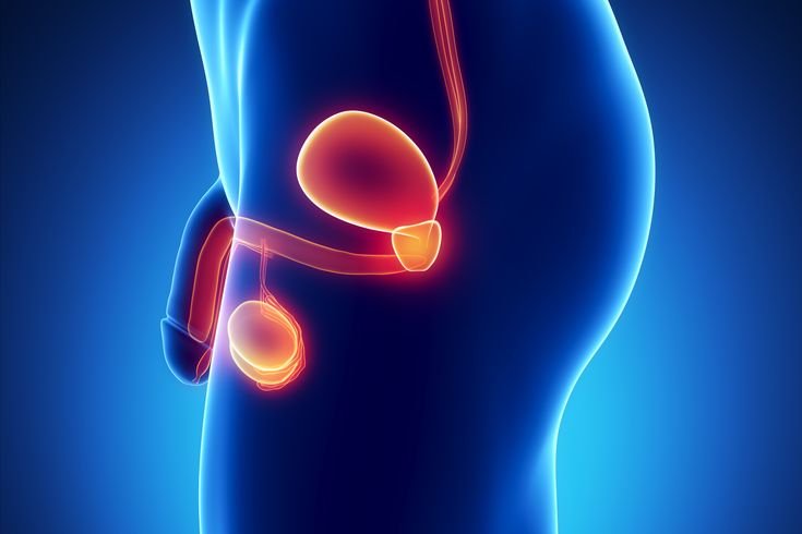 Prostate ki Bimari (BPH) - Lakshan aur Ilaj ke Aadhunik Tareeke (Prostate Enlargement - Symptoms and Modern Treatment)